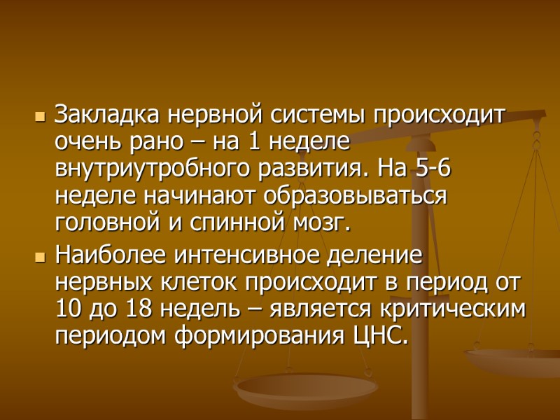 Закладка нервной системы происходит очень рано – на 1 неделе внутриутробного развития. На 5-6